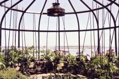 Birdcage-Inside