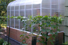 Pacific-Lean-To-6x12-Twinwall