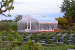 Greenhouse-with-lavender-04-05