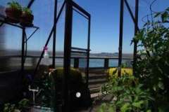 San-Francisco-Sungarden