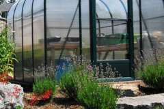 Sungardengreen