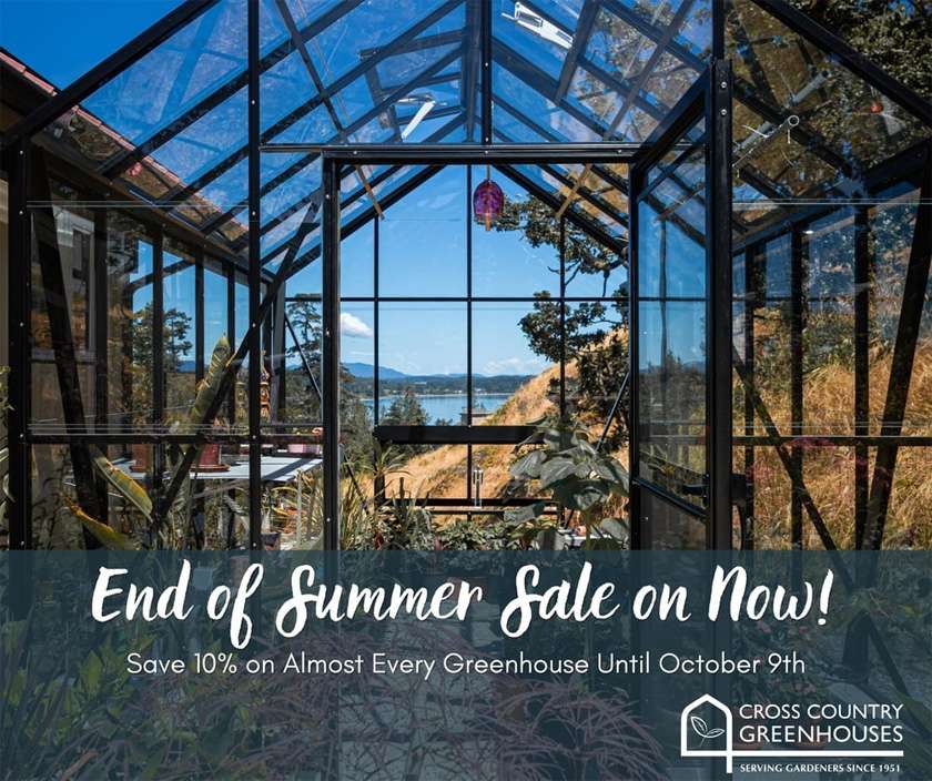 End of Summer Sale