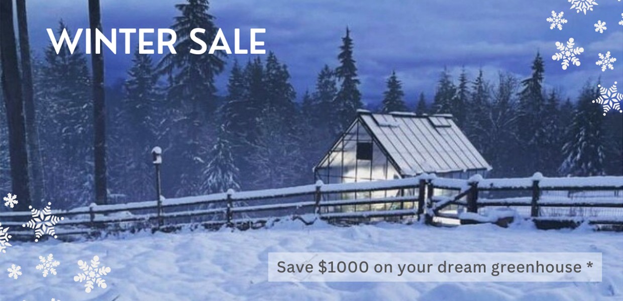winter sale